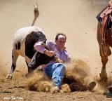 First Place <br> Whoa Steer! <br>by Jim Thode