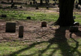 A Neglected Place