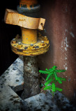 Found Ground
