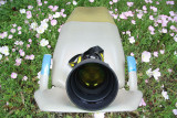 Open Wide, Say at About f2.8, Relax, It Will Be Like a Field of Flowers