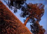 Fifth Place <br>Spring Sunset <br>by Jim H.