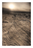 Third Place <br>Curve Formations <br>by Techo