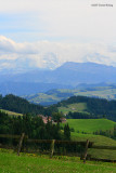 SwissAlps1