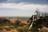 Mt. Scott Stop