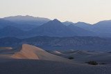 <b>Morning Dunes</b> by Paul Sumi