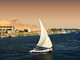 Felucca