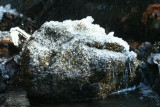 Pebble Ice