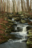 Cascades