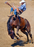 D3D_3840ClovisRodeo1.jpg