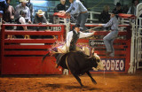 D3A_6251ClovisRodeo1.jpg