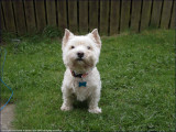 14th April 2010