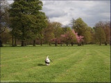 3rd May 2010