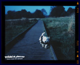 26102007 going blue
