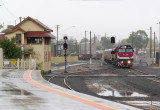 Wet Bendigo