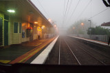 Foggy Collingwood