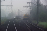 Foggy Keon Park