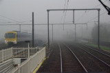 Foggy Richmond
