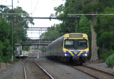 Mt Waverley