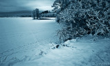 monochrome 16. footsteps in the snow