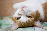 DSC02501a.jpg