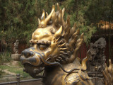 Forbidden City Dragon.JPG