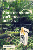 LOST smoke