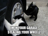 stealing wheels