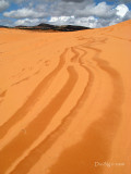 Sand Tracks