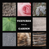 Textures.. from my garden