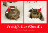 Merry Christmas !
