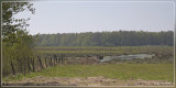 _A104035kopie.jpg