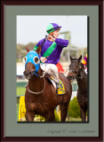 Warrnambool May Racing Carnival 2010