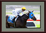 Warrnambool May Racing Carnival 2010