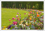 Spring Flower Beds in Residence Garden