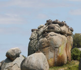 ooievaar 29-04-2009 .jpg
