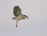 kwak ebro 15-04-2010 4.jpg