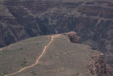 mule trip to Plateau Point