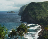 Paradise Found