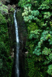 Lower Puohokamoa Fall
