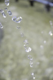 droplets.jpg