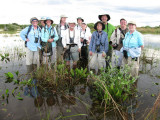 Pantanal Group