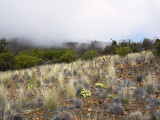 MaunaKea2157b.jpg
