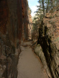 Hidden Canyon