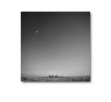 Ultrawide II Exhibition