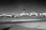 holga & tilt/shift
