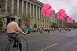 Cherry Blossom Parade