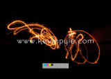 KP7_6625 108-NEWYEAR2010.jpg
