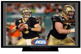TV for Indoors_1.jpg