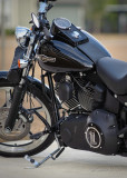 KP7_7610 053-MBhogs.jpg