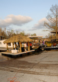 frogro032710_0021.jpg